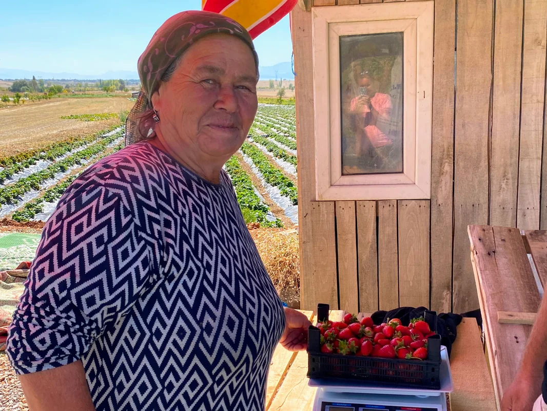 Fresh organic strawberries at roadside stand in Turkey - World Travel Ambitions