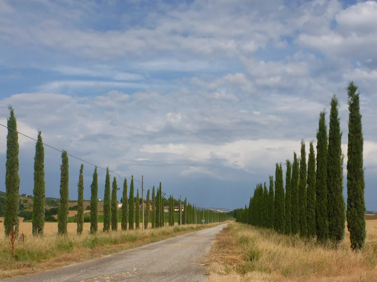 Driving through Tuscany