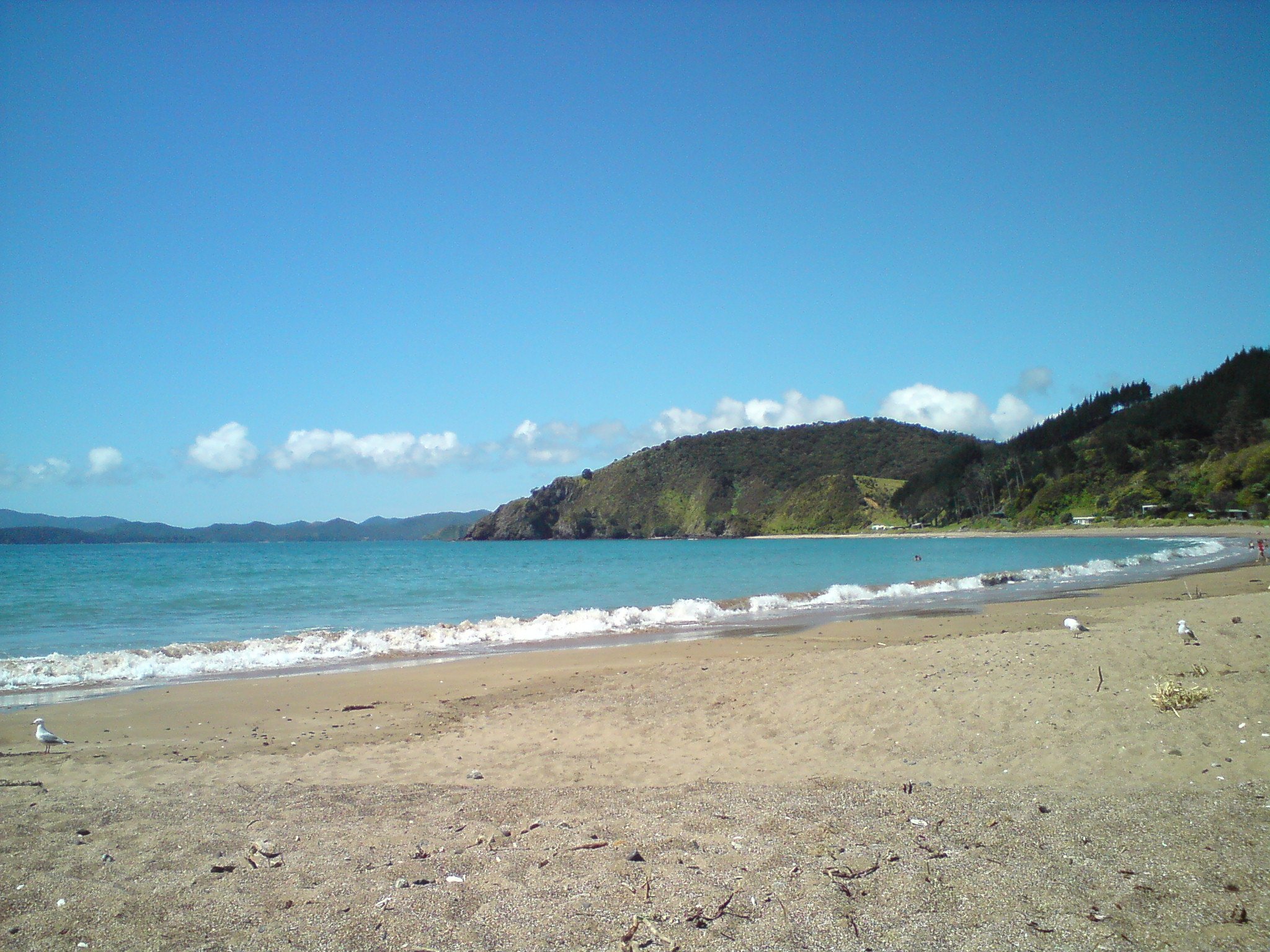 Beautiful Long Beach in Russell, Bay of Islands with turquoise waters, sandy beach, and rolling green hills in the background