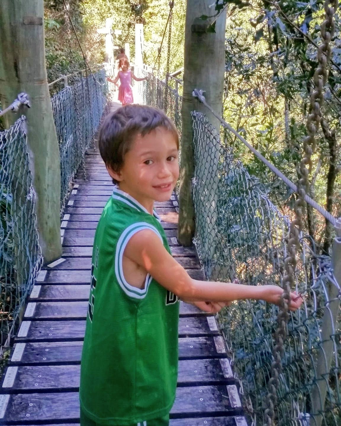 Kids on the suspension bridge at O'Reilly's Treetop Walk, Lamington National Park
