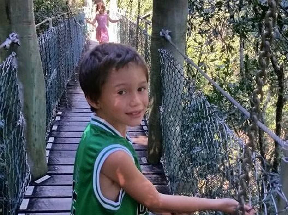 Family Adventures at O'Reilly's Treetop Walk