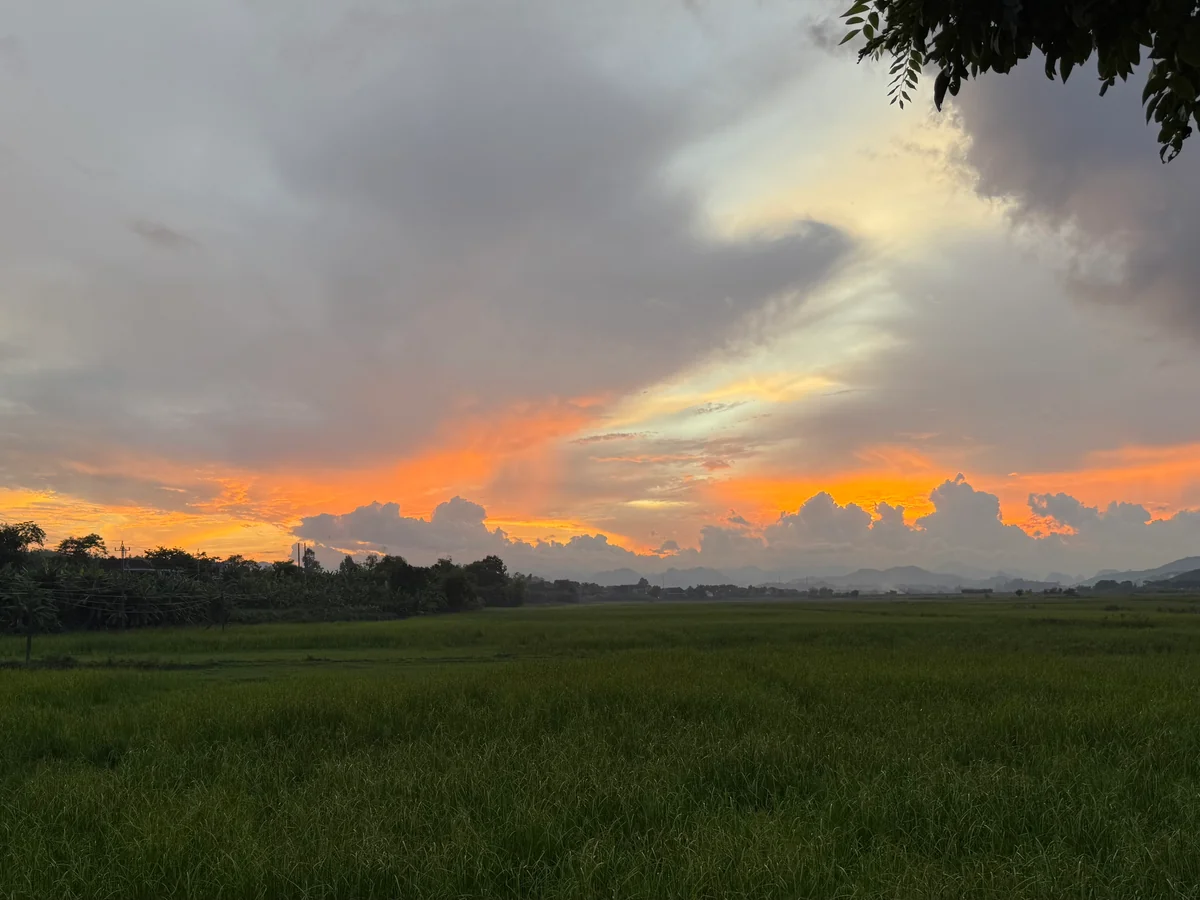 Phong Nha Farmstay Sunset Vietnam - Breathtaking sunset over rice fields and mountains at Phong Nha Farmstay - World Travel Ambitions