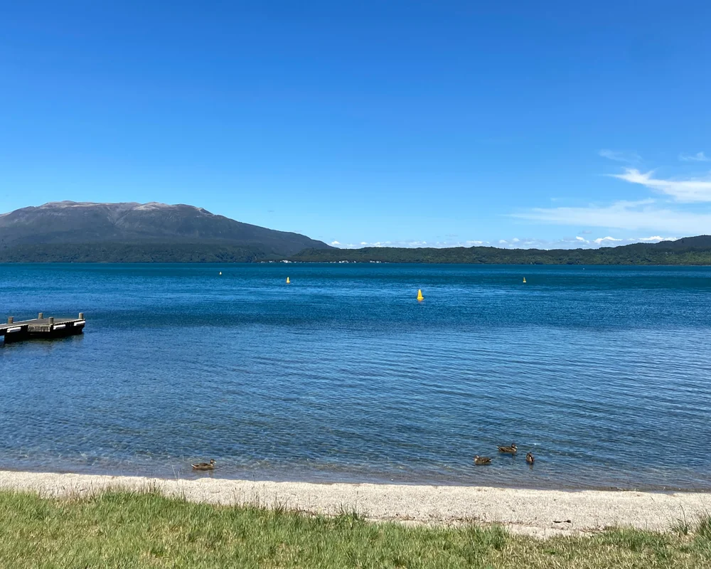 Rotorua, New Zealand: A Local's Guide to the Geothermal Wonderland