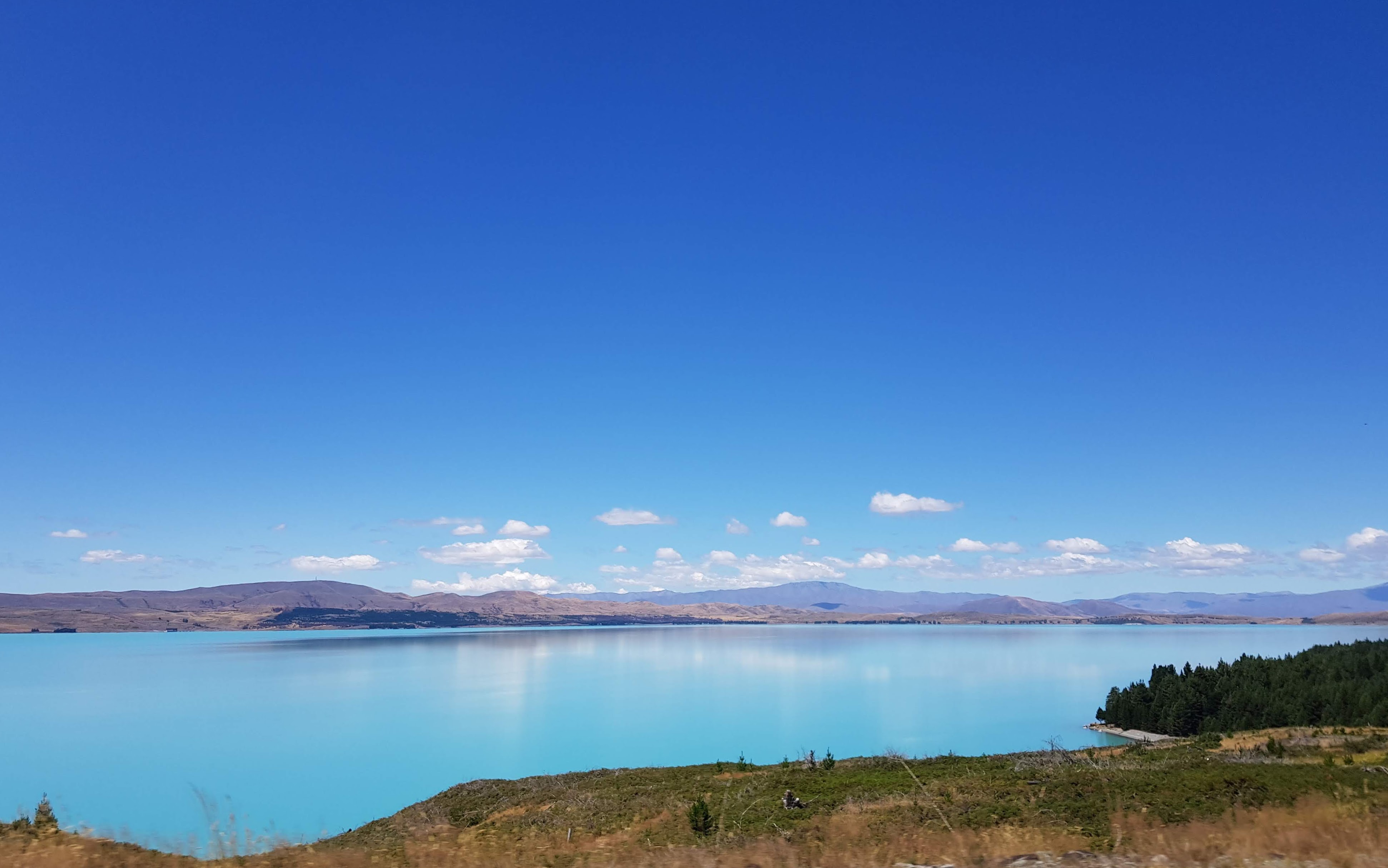 New Zealand, New Zealand