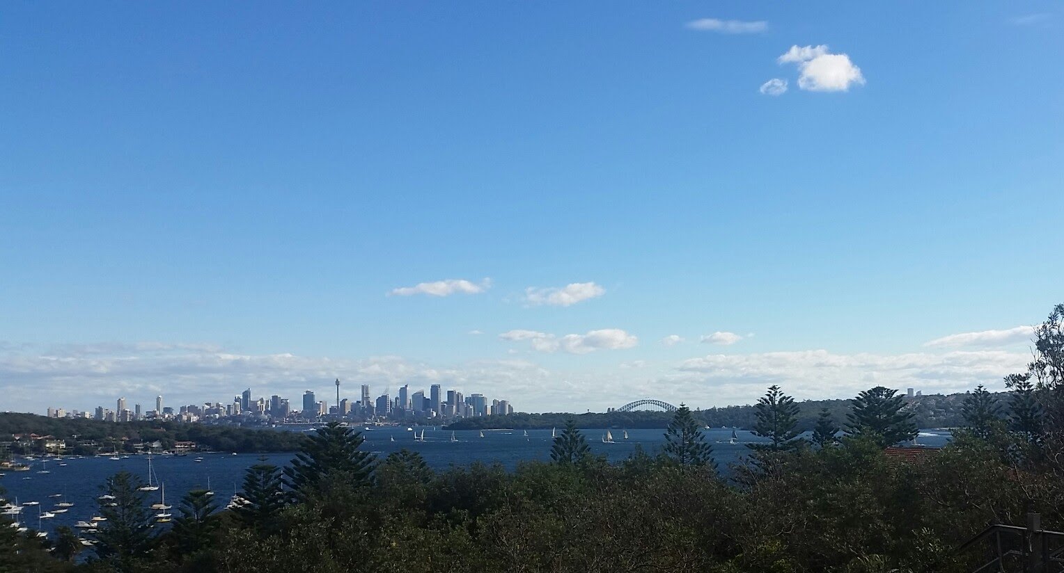 Sydney skyline from the Vaucluse to Watson's Bay walk